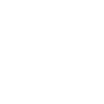 CORPORATE MISSION white