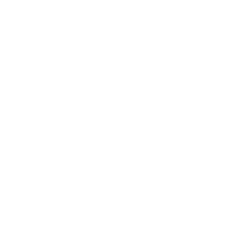 CORE VALUES white